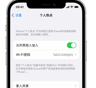 达坂城apple服务站点分享iPhone上个人热点丢失了怎么办 