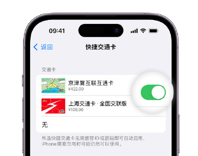 达坂城apple维修点分享iPhone上更换Apple Pay快捷交通卡手绘卡面 