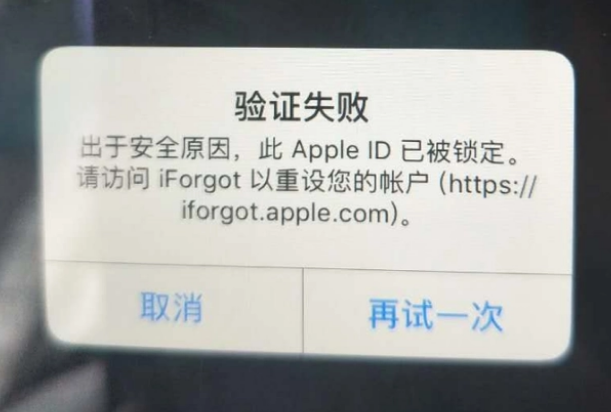 达坂城iPhone维修分享iPhone上正常登录或使用AppleID怎么办 