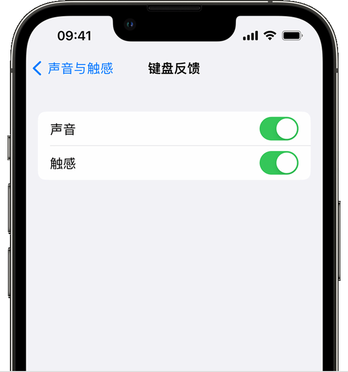 达坂城苹果14维修店分享如何在 iPhone 14 机型中使用触感键盘 