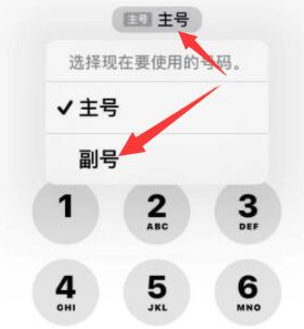 达坂城苹果14维修店分享iPhone 14 Pro Max使用副卡打电话的方法 