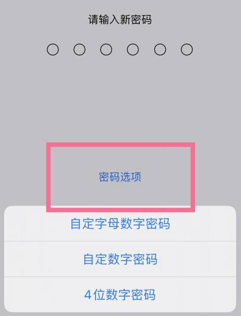 达坂城苹果14维修分享iPhone 14plus设置密码的方法 