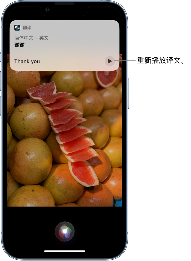 达坂城苹果14维修分享 iPhone 14 机型中使用 Siri：了解 Siri 能帮你做什么 