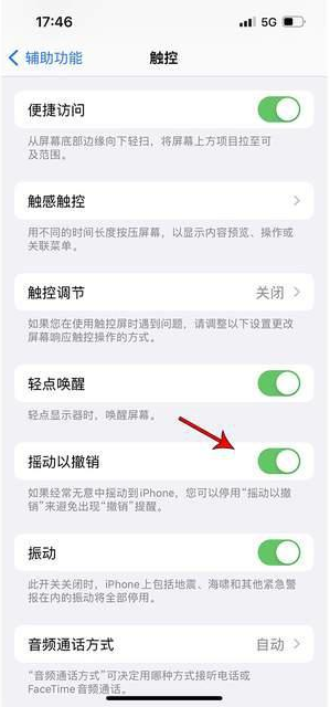 达坂城苹果手机维修分享iPhone手机如何设置摇一摇删除文字 