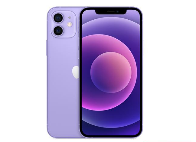 达坂城苹果手机维修分享现阶段要不要入手紫色版iPhone12 