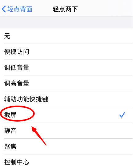 达坂城苹果手机维修分享iPhone12如何启用双击截屏 