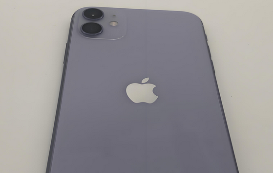 达坂城苹果11系统维修分享iPhone11手机系统崩溃无法开机如何解决
