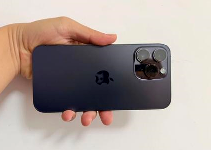 达坂城苹果维修点分享iPhone 14 Pro Max黑屏少见故障盘点 